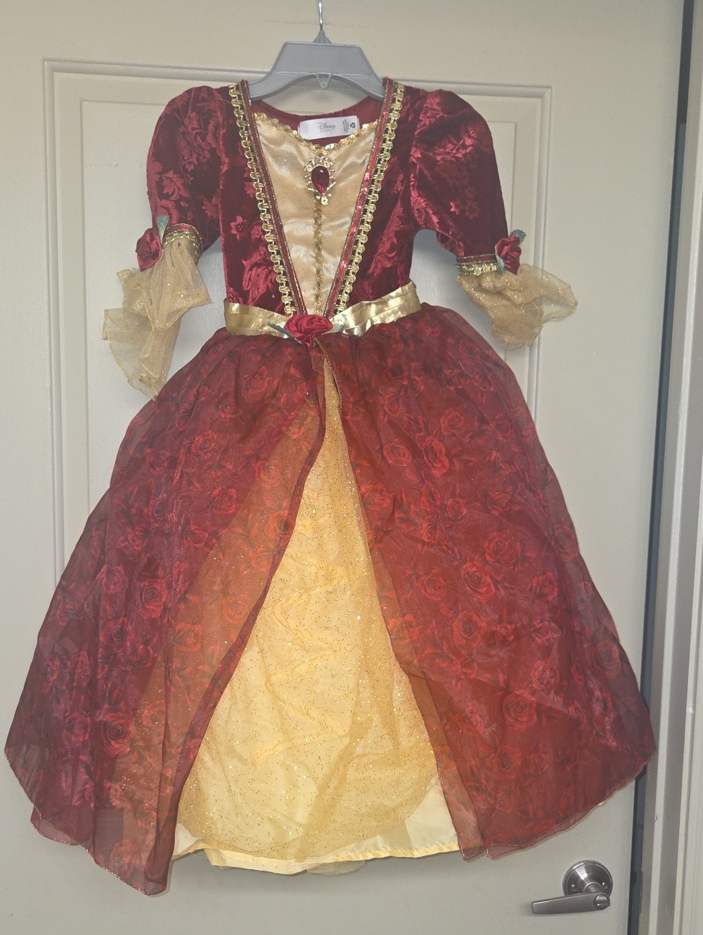 Disney Burgundy and Gold Princess Gown Costume